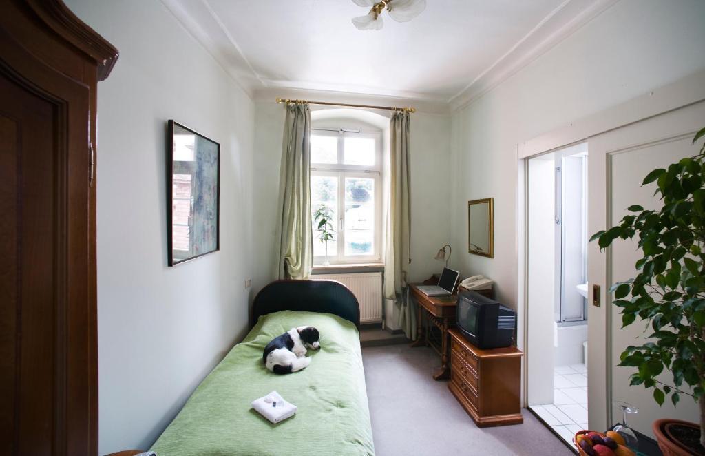 Hotel Goldener Hecht Heidelberg Habitación foto