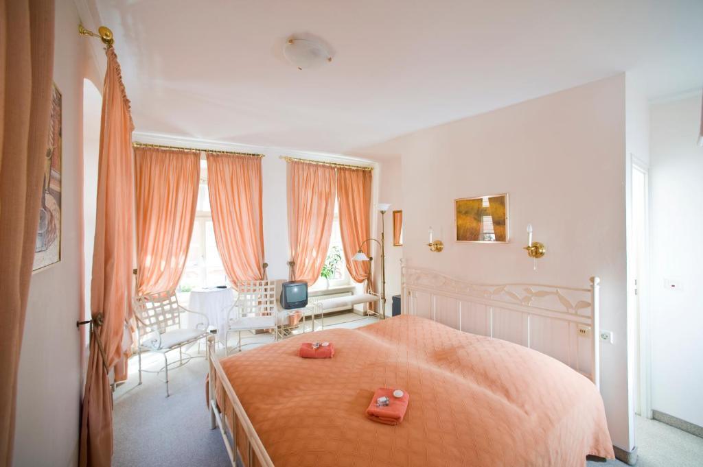 Hotel Goldener Hecht Heidelberg Habitación foto